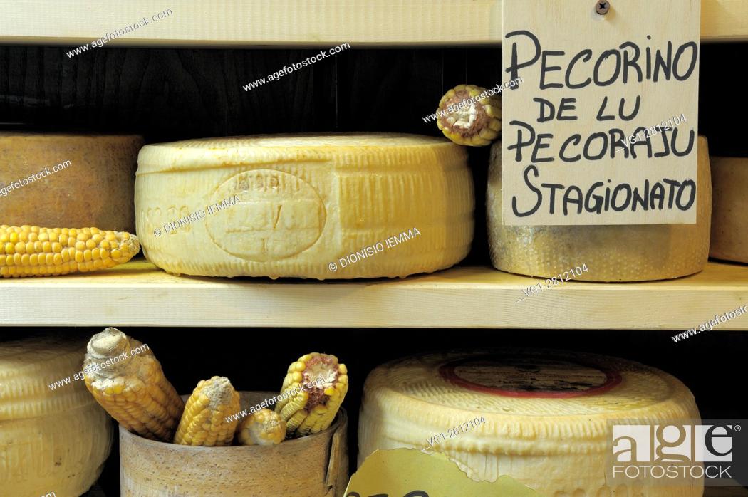 Stock Photo: Pecorino di Castelluccio di Norcia, typical cheese, Castelluccio di Norcia, district of Perugia, Umbria, Italy, Europe.