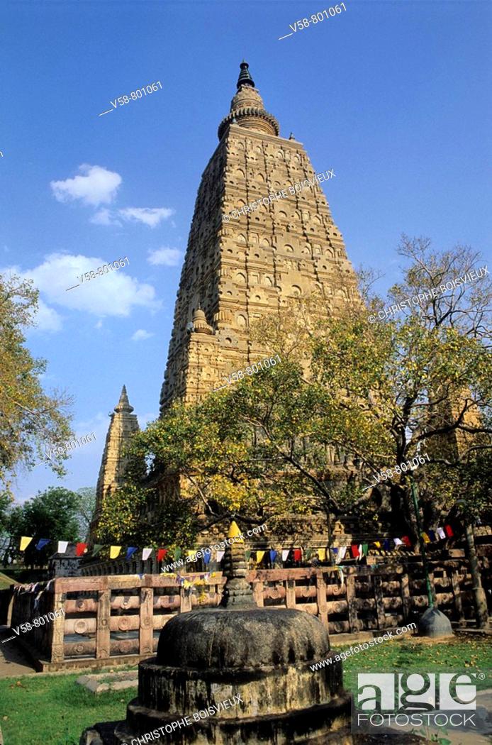 BODHI TREE AND MAHABODHI TEMPLE, BODHGAYA, BIHAR, INDIA, Stock Photo,  Picture And Rights Managed Image. Pic. V58-801061 | agefotostock