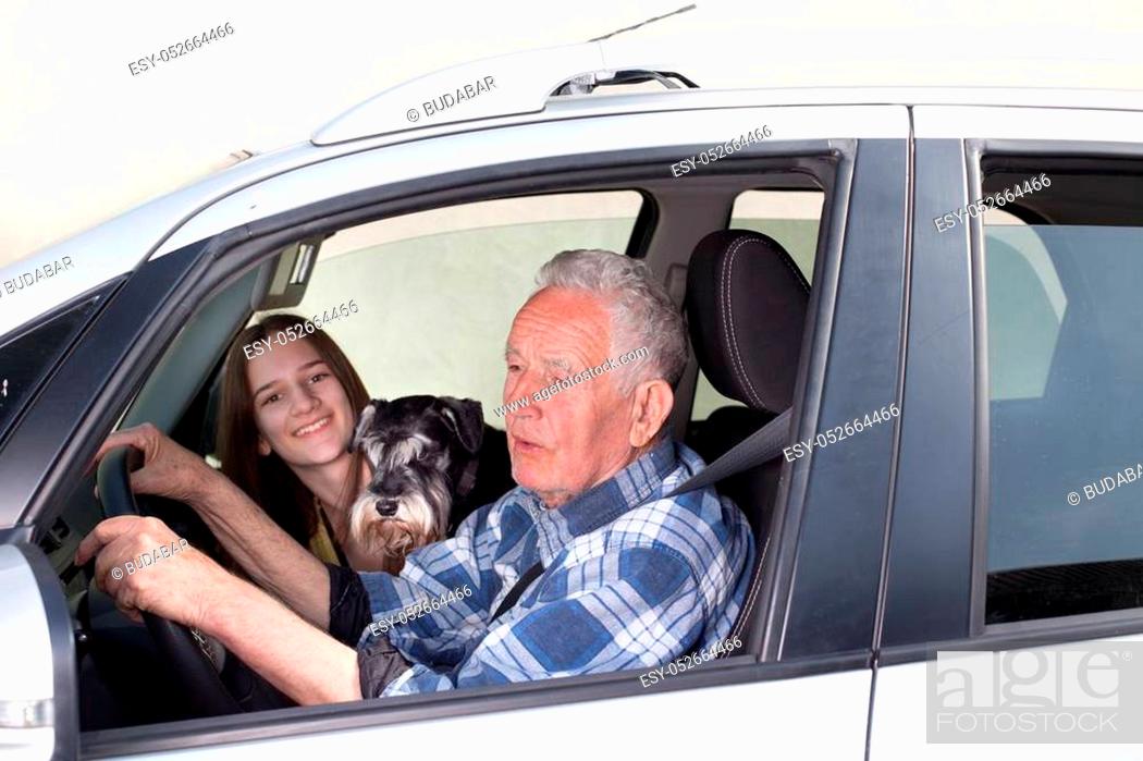 Stock Photo: Senior man driving car with his granddaughter and dog beside him, looking through window.