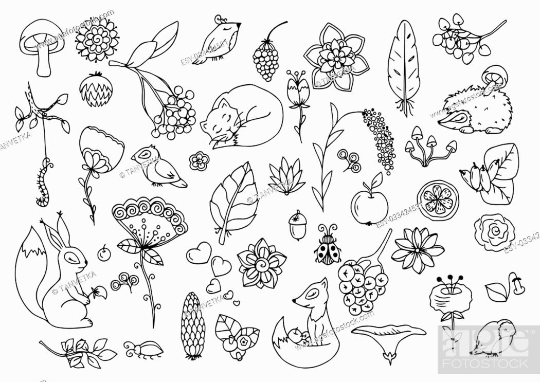 Vector illustration e, set the forest, animals and flowers. Doodle drawing,  Stock Vector, Vector And Low Budget Royalty Free Image. Pic. ESY-033424531  | agefotostock