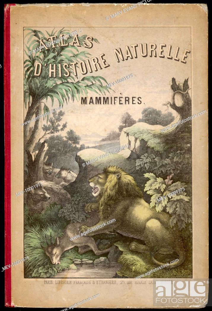 Stock Photo: Front cover design, showing a lion and its prey, and a group of hyenas in a landscape from a wildlife atlas.