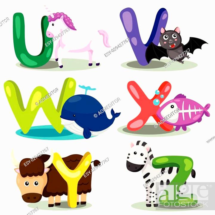 Illustrator alphabet animal LETTER - u, v, w, x, y, z, Stock Vector, Vector  And Low Budget Royalty Free Image. Pic. ESY-029427767 | agefotostock
