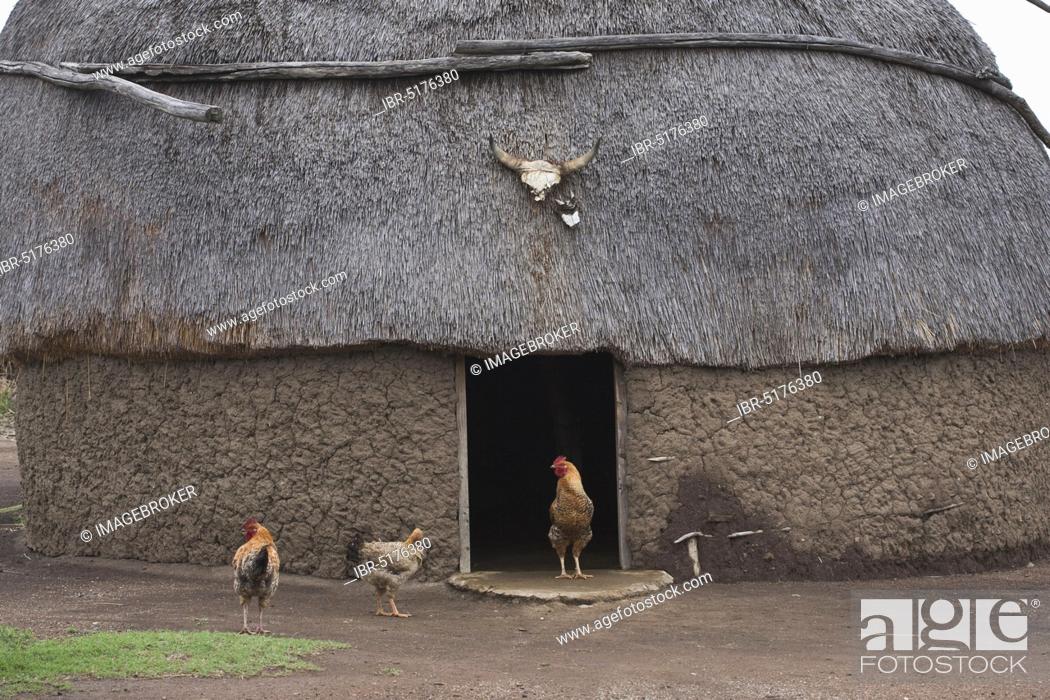 Stock Photo: Round Zulu House, Zulu Village, Hidden Valley, KwaZulu-Natal, South Africa, Africa.