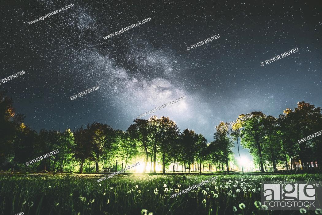 Stock Photo: Green Trees Woods In Park Under Night Starry Sky In Violet Color. Landscape With Glowing Milky Way Stars Over Meadow At Summer Season.
