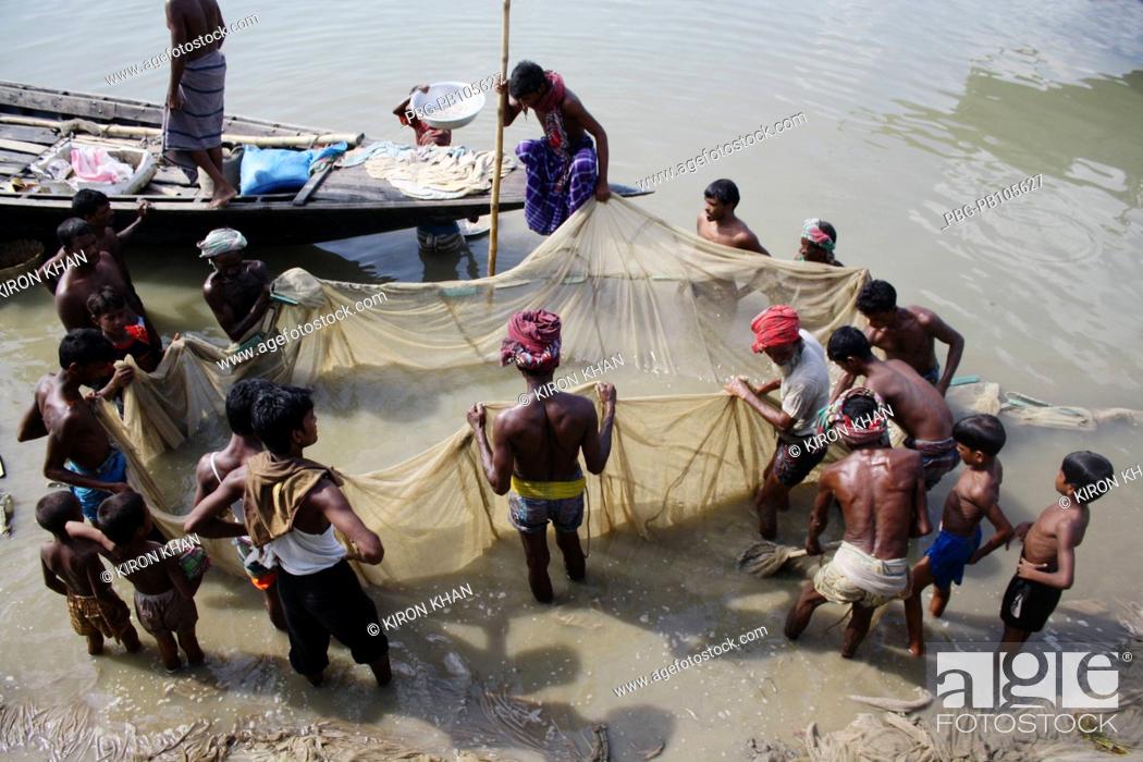 Stock Photo: Fishermen catching fishes at the Padma river Pabna, Bangladesh June 2010.