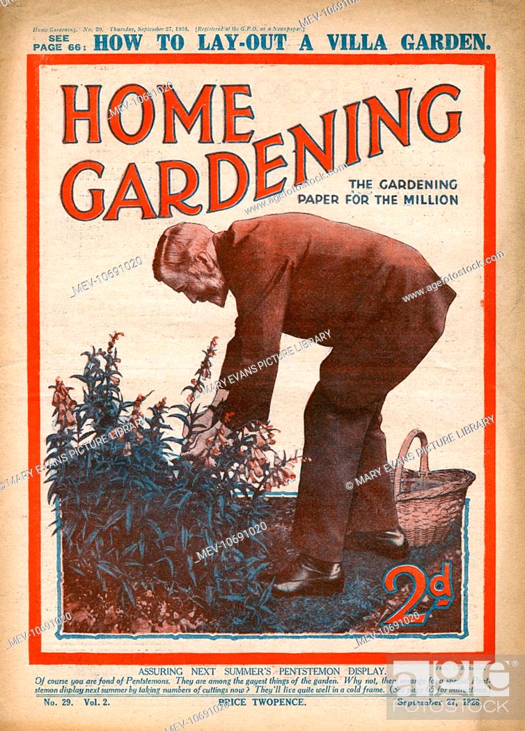 Stock Photo: Front cover of Home Gardening magazine featuring a gentleman gardener (wearing a suit for tending to the borders) assuring next summer's pentstemon display.