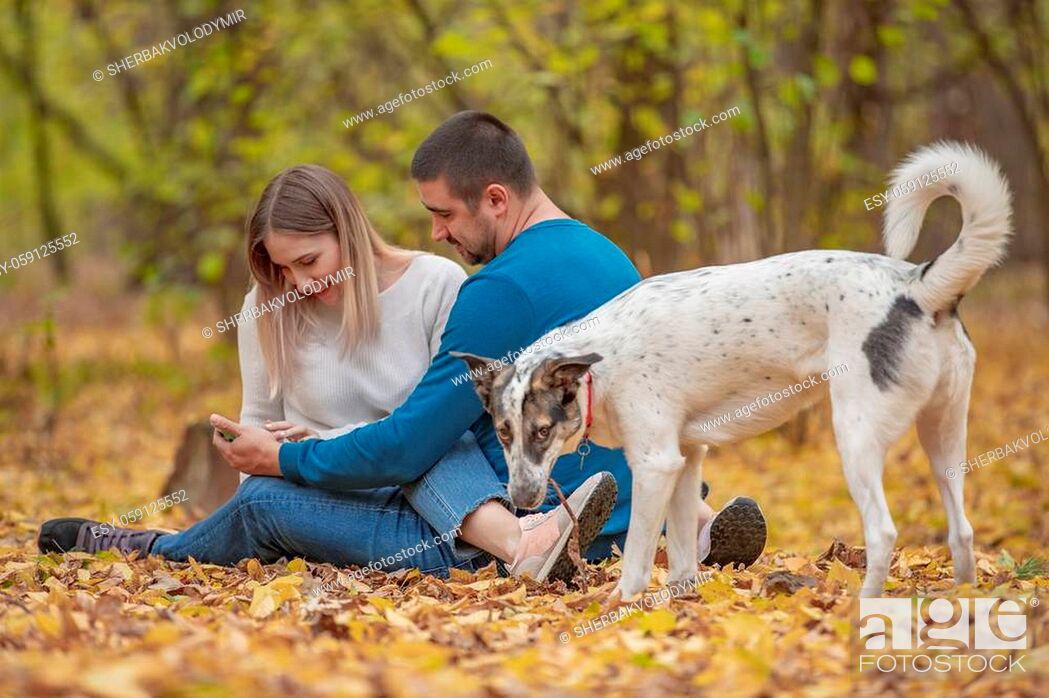 care, animals, family, season and people concept - smiling couple with dog  in autumn park or forest, Stock Photo, Picture And Low Budget Royalty Free  Image. Pic. ESY-059125552 | agefotostock