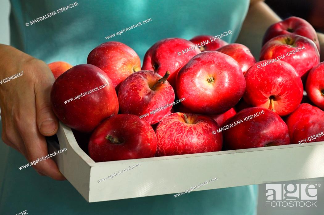 Stock Photo: Woman holding a wooden bowl full of red apples.
