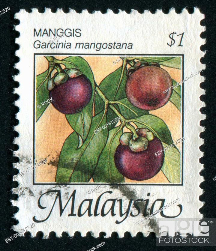 Stock Photo: postage stamp.