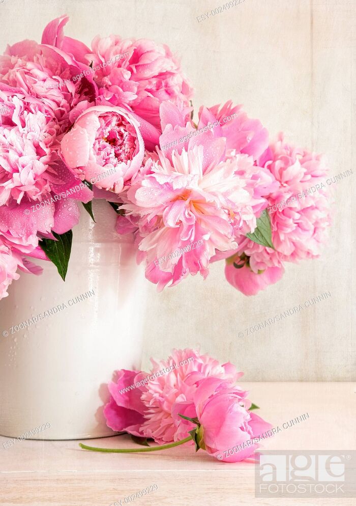Stock Photo: Pink peonies in vase on wood background.