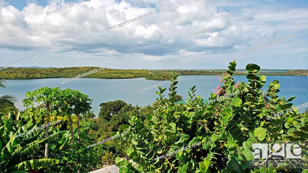 Imagen: Overlooking Mercer Creek Bay from Seatons, Antigua Barbuda Lesser Antilles, West Indies, Caribbean.
