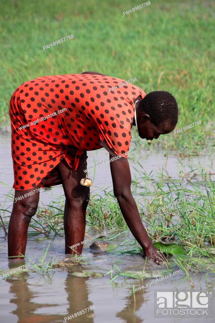 Imagen: Magai Mayak Gatbuok looks for edible water lilies in the swamps of the White Nile river near Nyal, South Sudan, 27 March 2017.