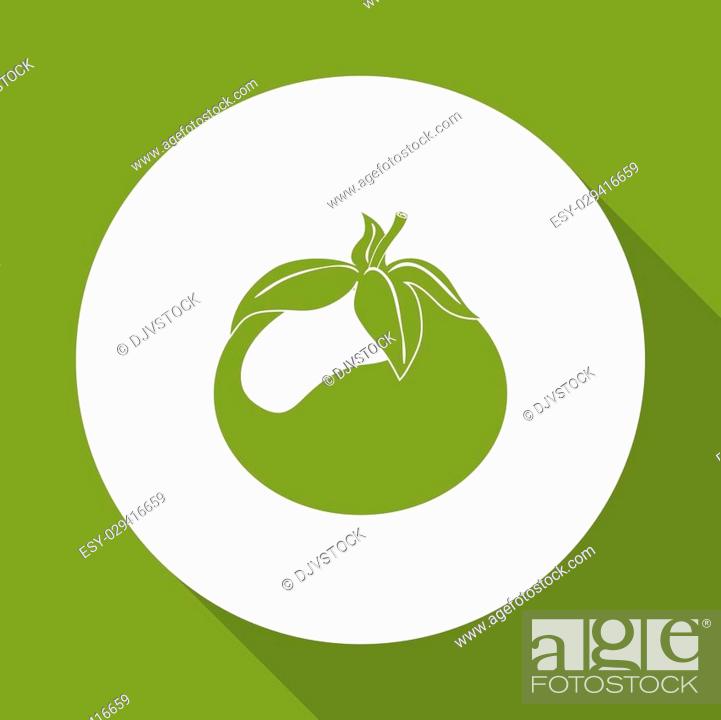 Stock Vector: Vegetables concept with icon design, vector illustration 10 eps graphic.
