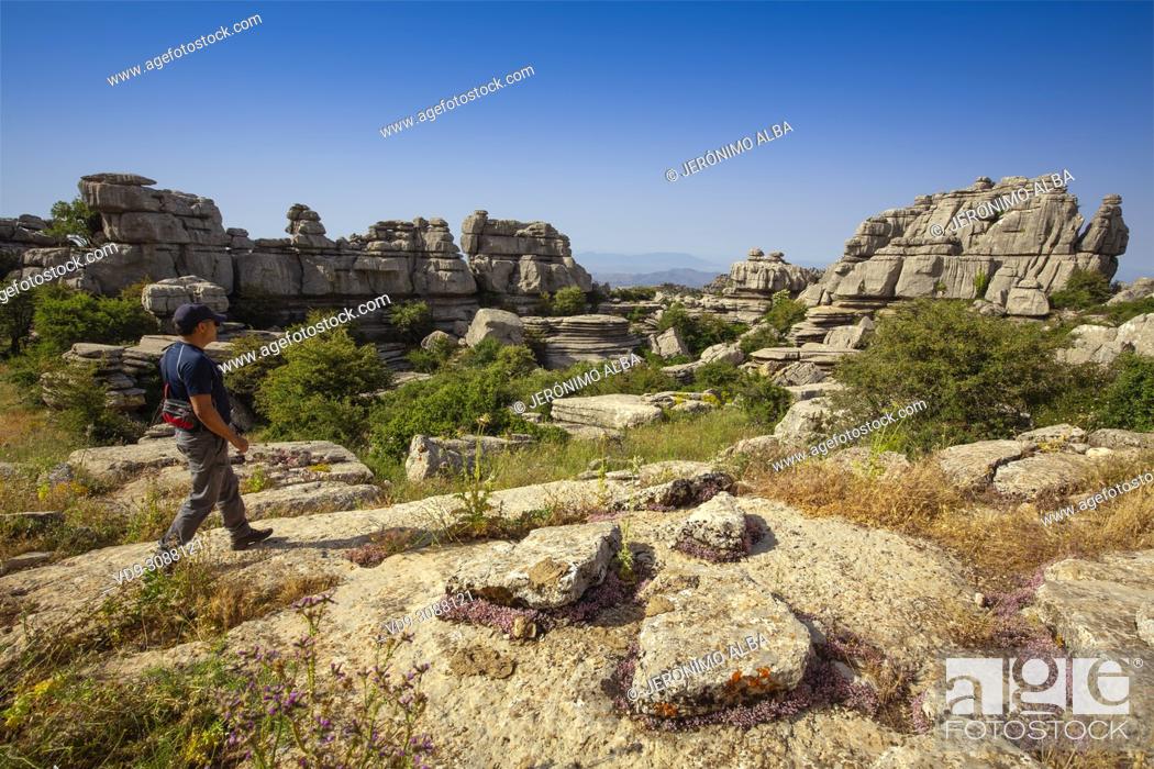 Stock Photo: Hiker, Torcal de Antequera, Eerosion working on Jurassic limestones, UNESCO World Heritage site. Malaga province Andalusia. Southern Spain Europe.