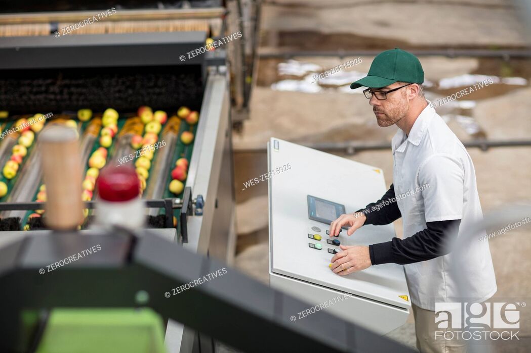 Stock Photo: Worker managing apple sorting machine.