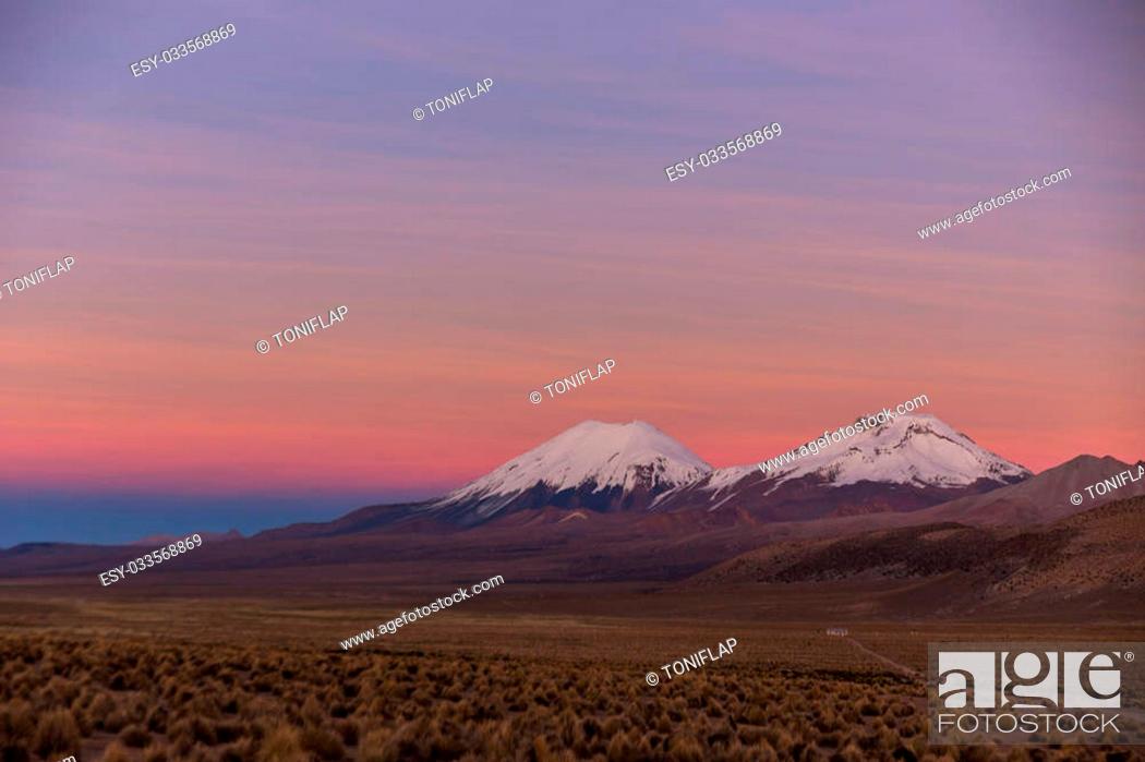 Stock Photo: Sunset in Andes. Parinacota and Pomerade volcanos. High Andean landscape in the Andes. High Andean tundra landscape in the mountains of the Andes.