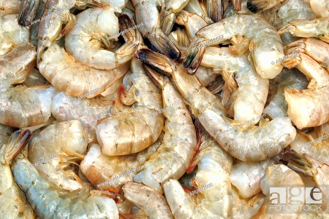 Stock Photo: Pile of Green Raw King Size Shrimps (Penaeidae Shrimps)Or Prawns Isolated On White Background.