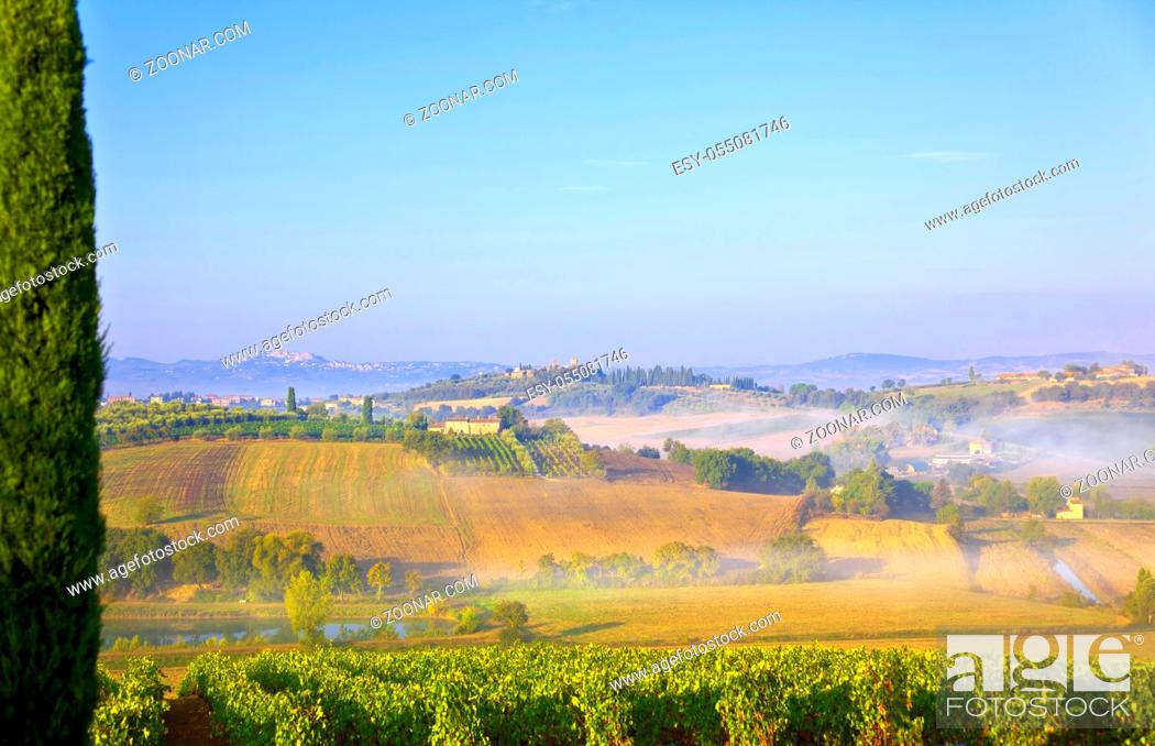 Stock Photo: Schönes Toskana-Panorama mit Morgennebel, in der Nähe von Montepulciano, Italien.