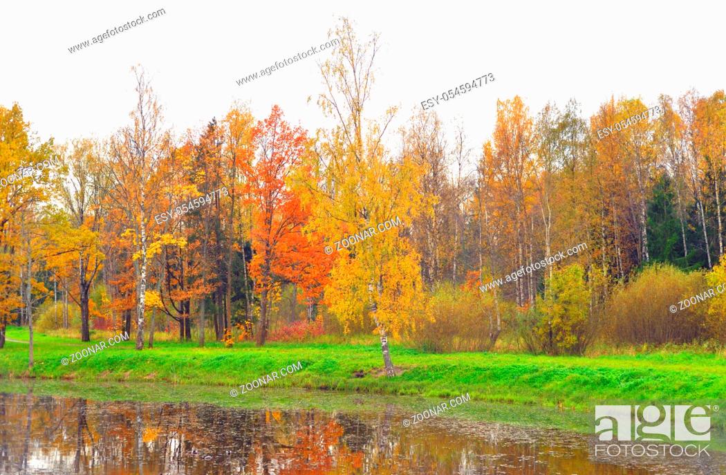 Stock Photo: Park and pond at golden autumn.