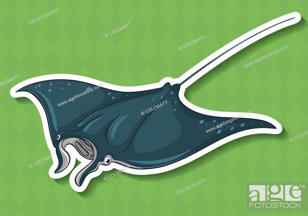 Stock Vector: Closeup stingray with green background.