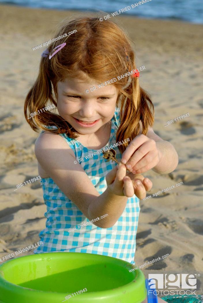 Stock Photo: Girl playing on the beach with a hermit crab, seaside of the Adria, Venetia, Venice, Italy, Europe.