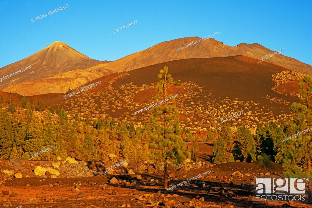 Stock Photo: Teide peak and Mountain landscape at Las Canadas, Parque Nacional del Teide, Tenerife, Canary Islands, Spain.