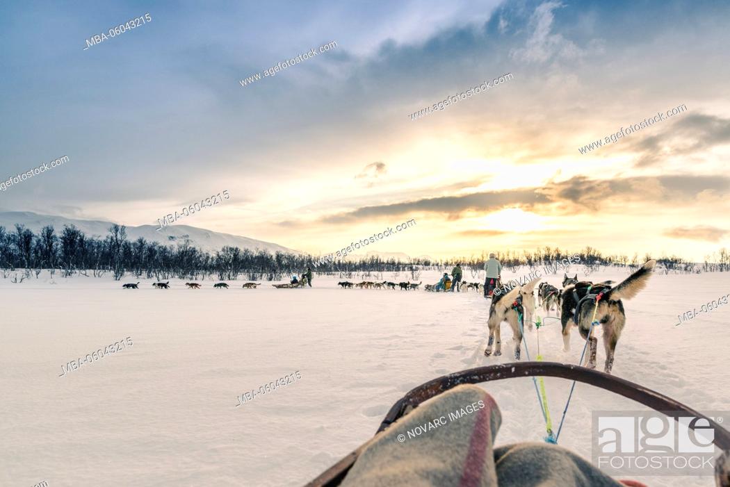 Photo de stock: Dog sledding on Kval›ya in Norway.