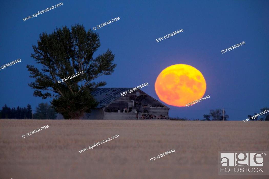 Stock Photo: Prairie Full Moon in Saskatchewan Canada rural.