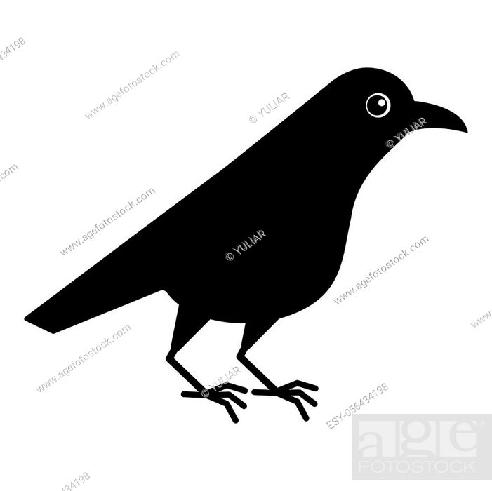 Cute raven bird. Cartoon crow. Isolated for colouring book, t-shirt print,  logo design, Stock Vector, Vector And Low Budget Royalty Free Image. Pic.  ESY-056434198 | agefotostock