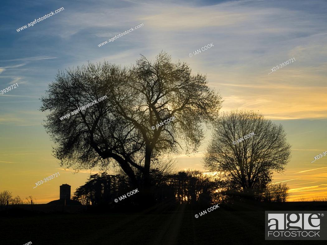 Photo de stock: sunset through bare winter trees near Lauzun, Lot-et-Garonne Department, Nouvelle-Aquitaine, France.