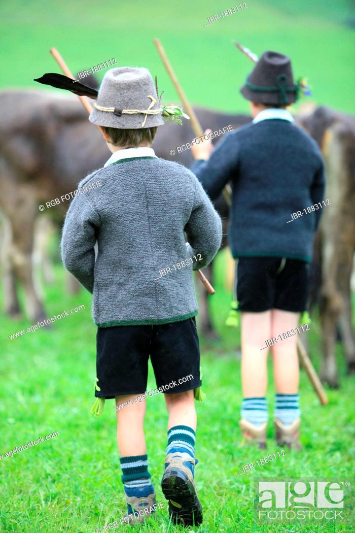 Stock Photo: Boys wearing traditional costume during Viehscheid, separating the cattle after their return from the Alps, Thalkirchdorf, Oberstaufen, Bavaria, Germany, Europe.