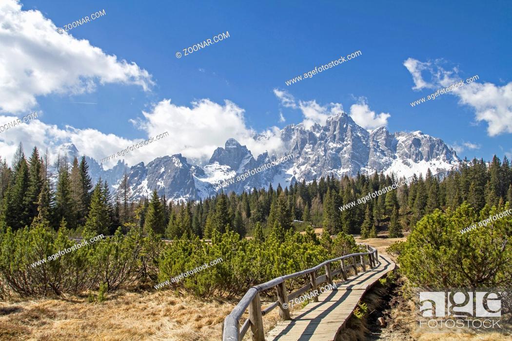 Stock Photo: Hochmoor vor dem Bergstock der Sextner Rotwand in den Dolomiten.