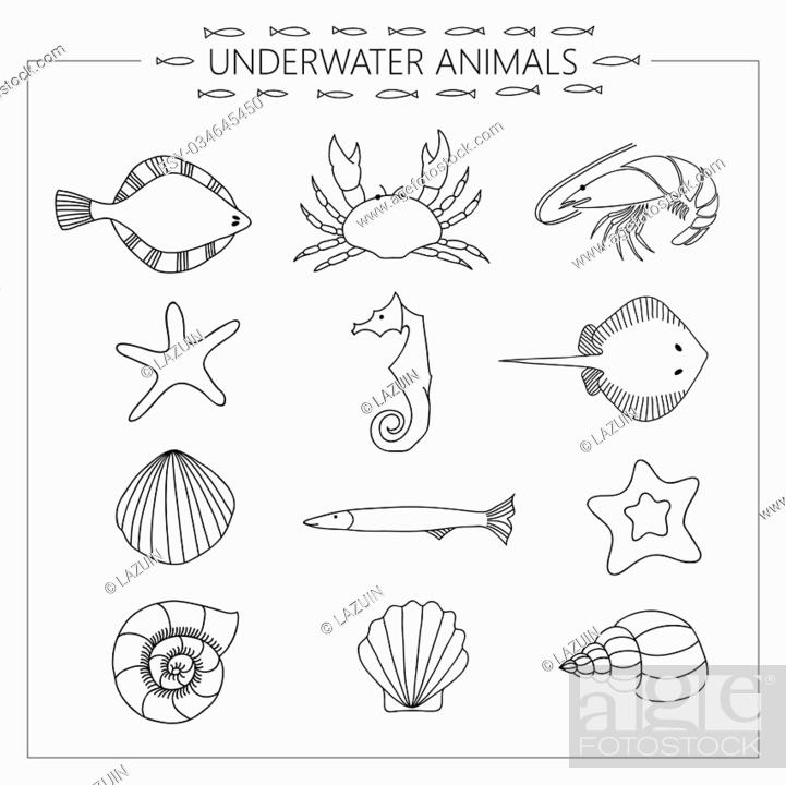 Black and white vector drawing of underwater animals, Stock Photo, Picture  And Low Budget Royalty Free Image. Pic. ESY-034645450 | agefotostock