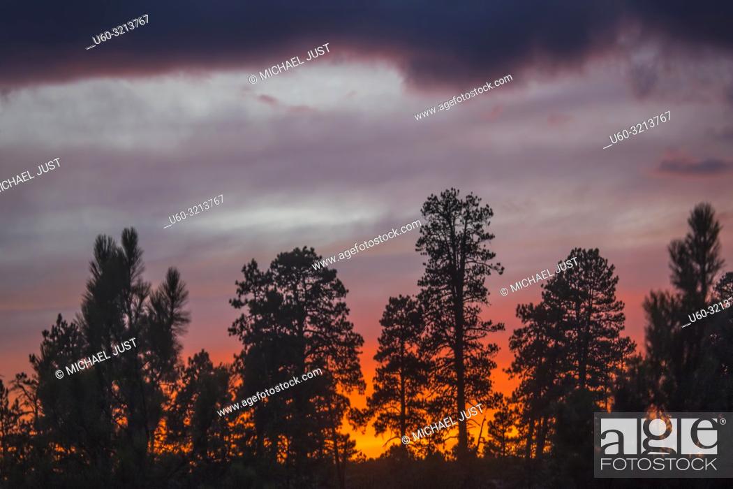 Stock Photo: The sun sets along the Kolob Terrace area of Zion National Park, Utah.