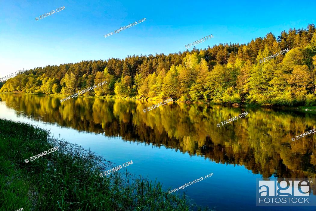 Stock Photo: Beautiful river with a forest, the reflection of trees in the water, smooth calm surface of the water without waves.
