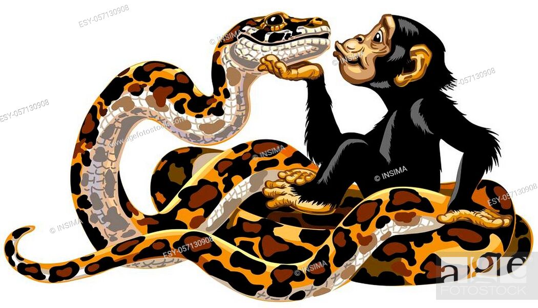 Cartoon chimpanzee and python snake friendship. Great ape or chimp monkey  holding a head of charming..., Stock Vector, Vector And Low Budget Royalty  Free Image. Pic. ESY-057130908 | agefotostock