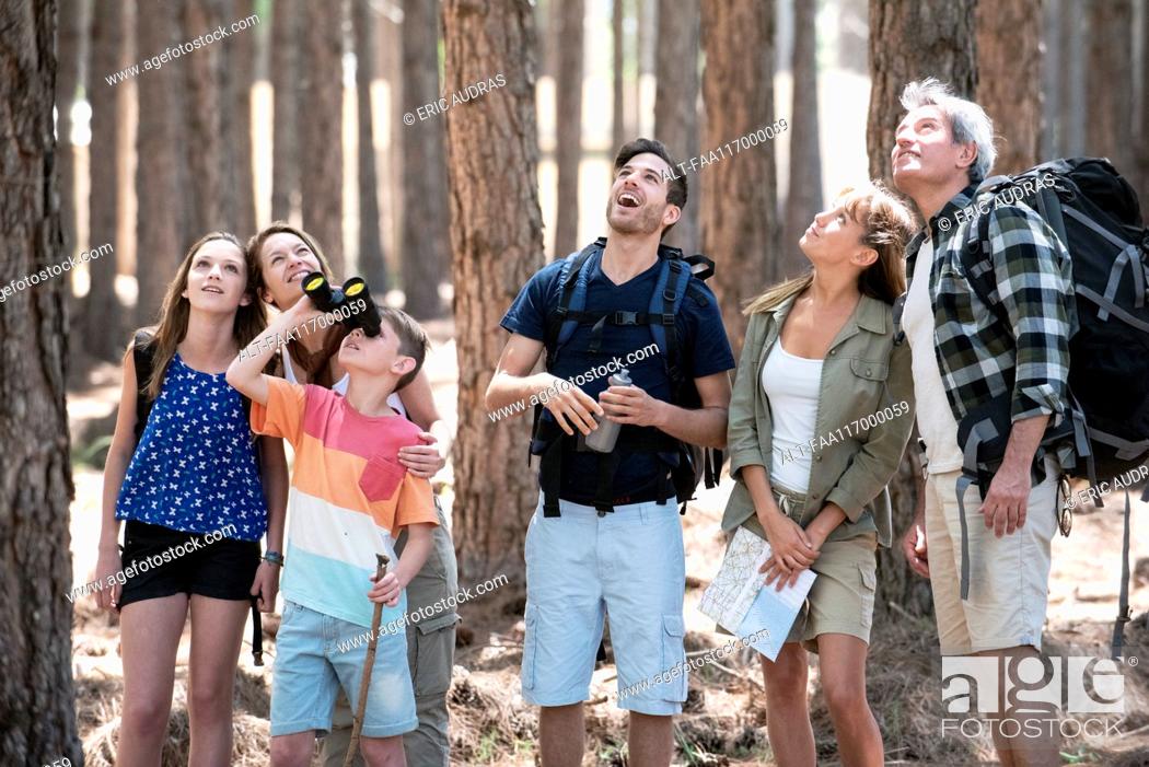 Stock Photo: Family hiking together in pine forest.