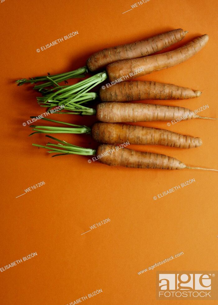 Stock Photo: Carrots.
