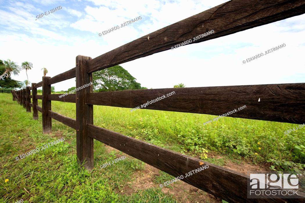 Stock Photo: Surrounds in Rural Property, Corumbá, Mato Grosso do Sul, Brazil.