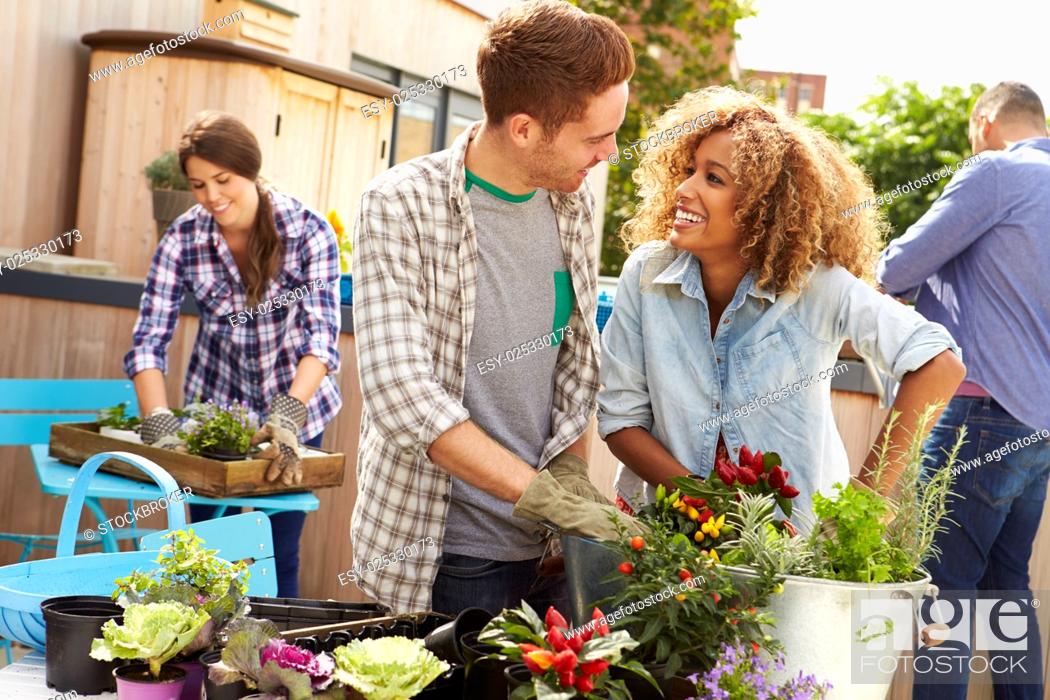 Stock Photo: Group Of Friends Planting Rooftop Garden Together.