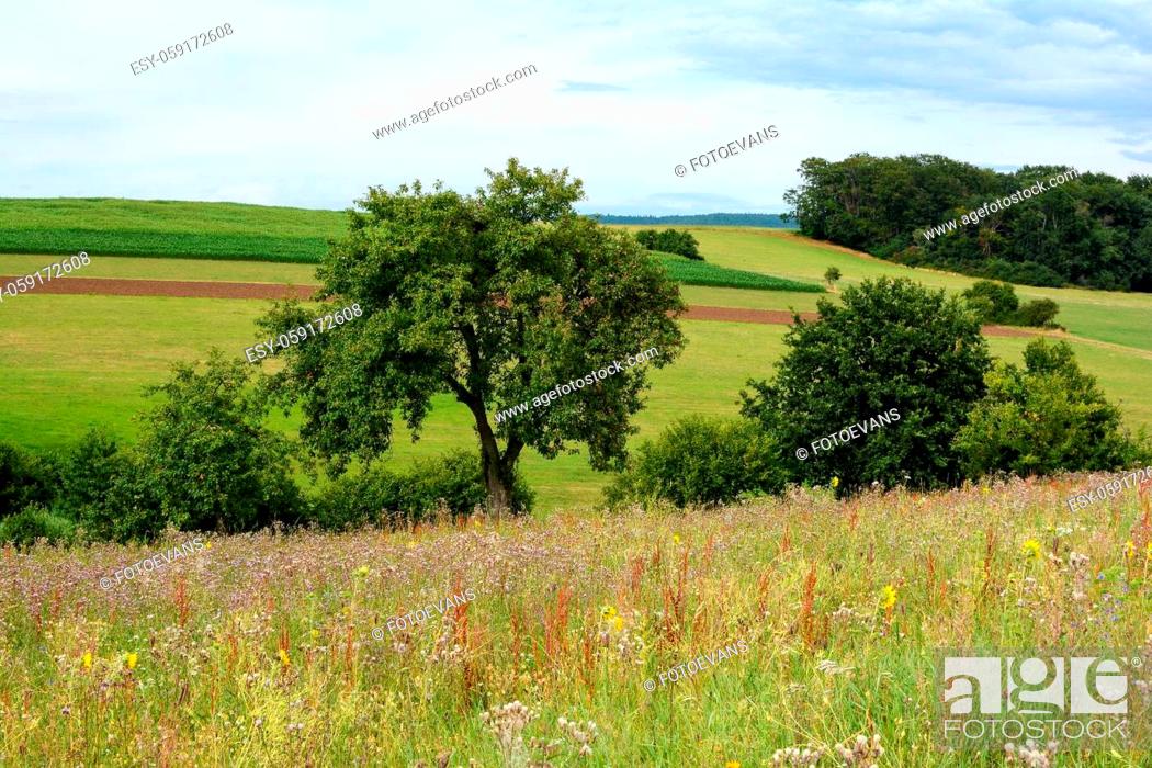Stock Photo: High meadow in front of a green landscape with trees, fields and sky.