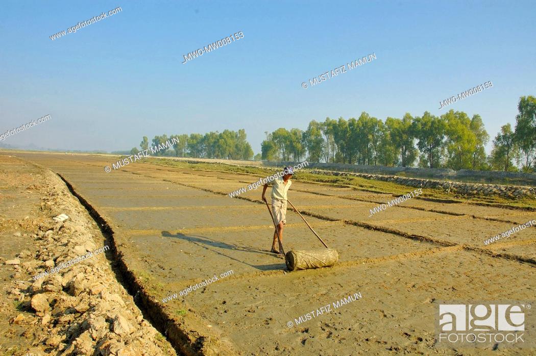 Stock Photo: A man works in a salt field at Teknaf in Cox’s Bazar district Teknaf, Cox’s Bazar, Bangladesh, December 24, 2006.