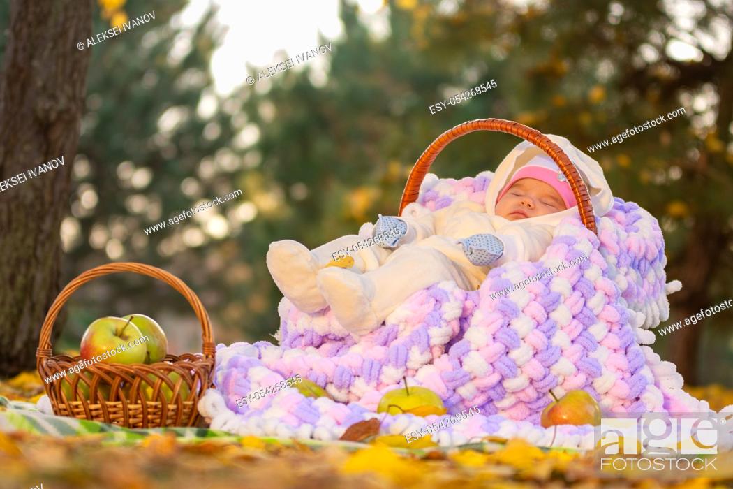 Stock Photo: The baby sleeps in a basket in the autumn forest, next to a basket of apples.