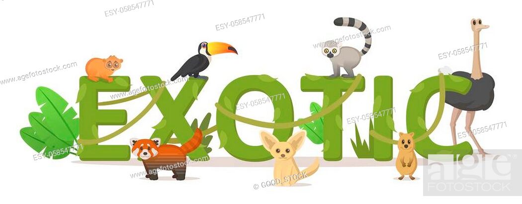 Word EXOTIC with jungle plants and exotic animals. For design poster,  banner, flyer, printing, Stock Vector, Vector And Low Budget Royalty Free  Image. Pic. ESY-058547771 | agefotostock