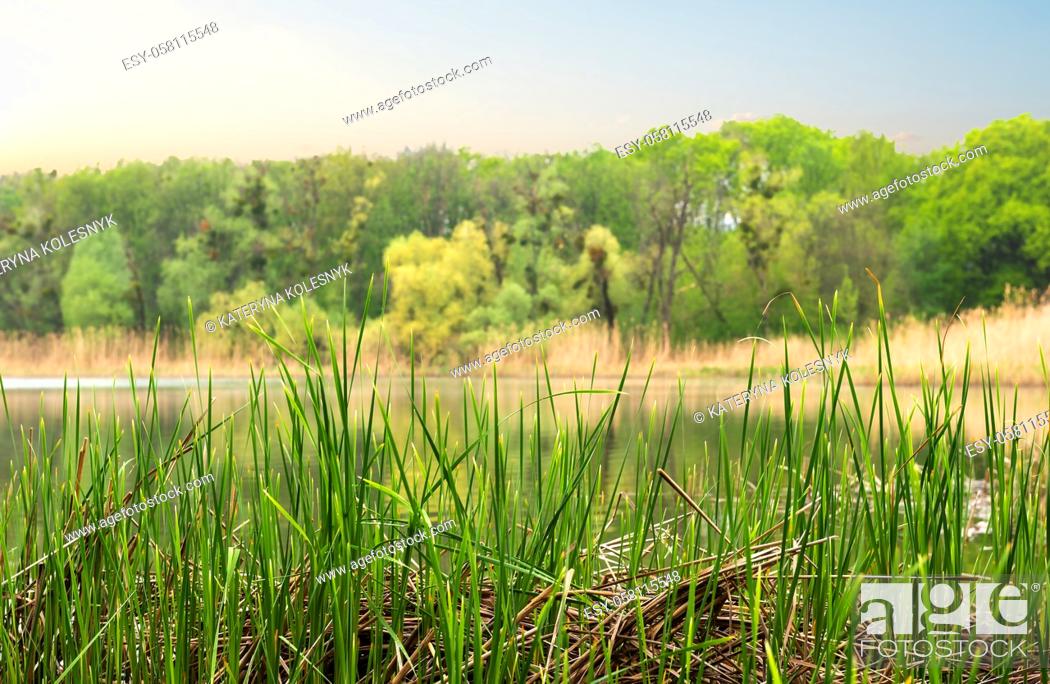 Stock Photo: River in the forest at cloudy spring evening.