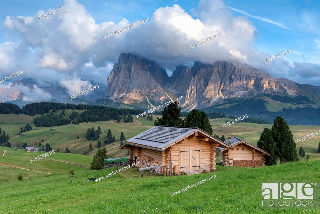 Stock Photo: Alpe di Siusi/Seiser Alm, Dolomites, South Tyrol, Italy. View from the Alpe di Siusi to the peaks of Sassolungo/Langkofel and Sassopiatto / Plattkofel.