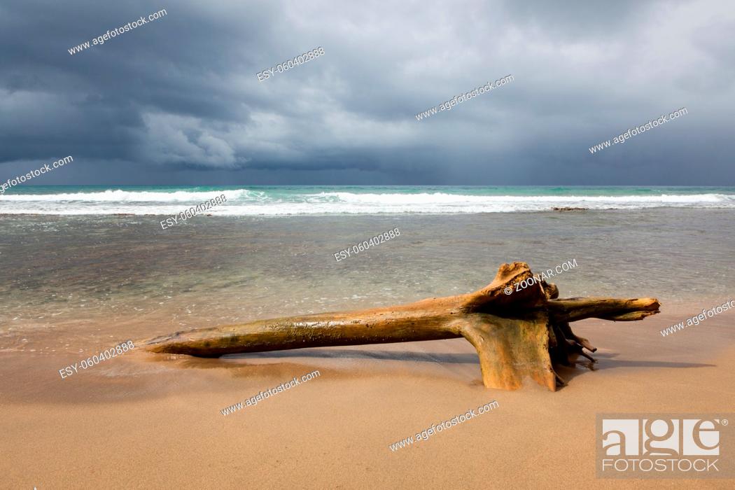 Stock Photo: Driftwood log at beach and storm clouds Costa Rica.