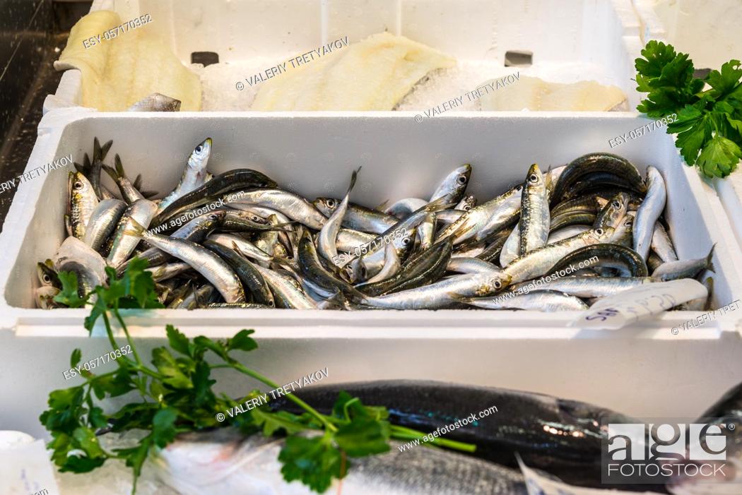 Stock Photo: Raw fresh Mediterranean sardines on ice at the fish market in Savona, Liguria, Italy.