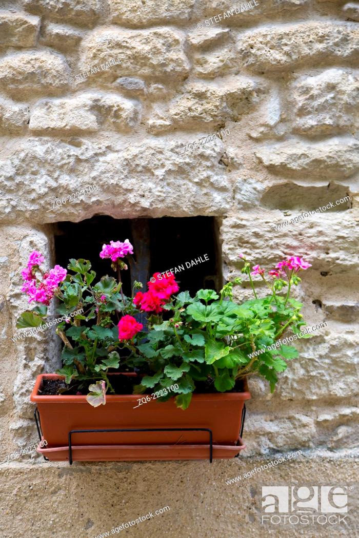 Stock Photo: Flowers in the medieval Village Bonnieux, Provence, France.