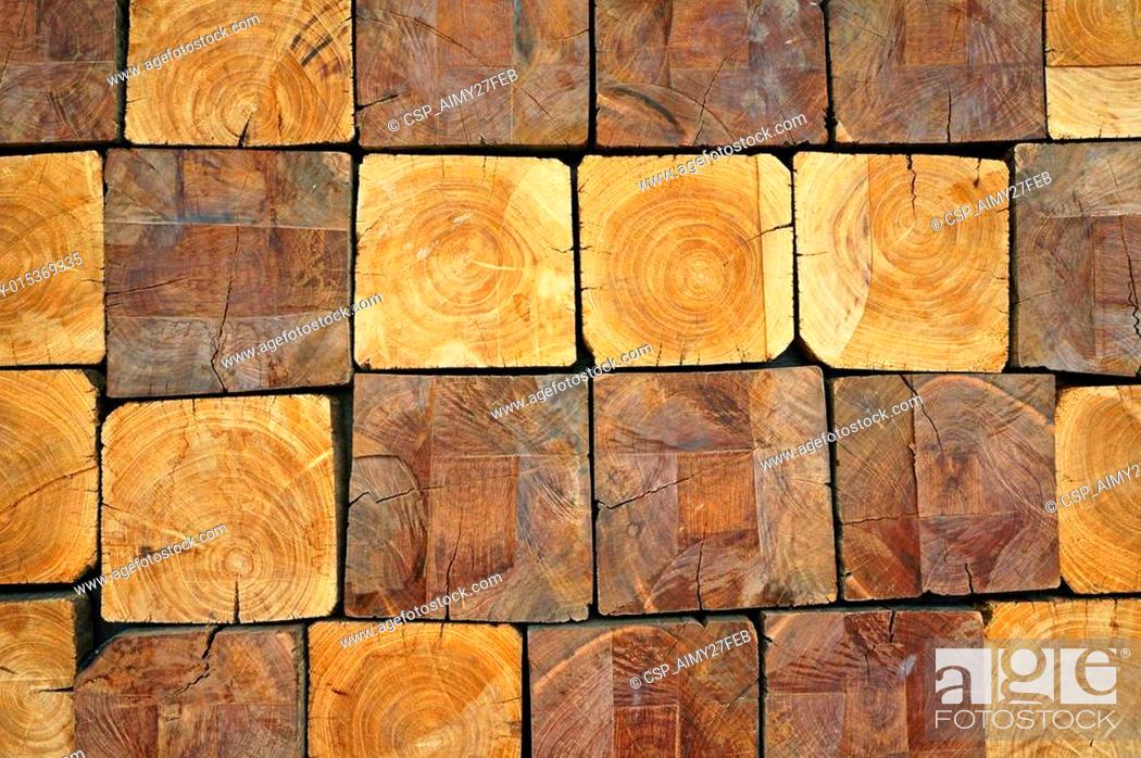 Stock Photo: Stacked Logs Texture, Natural Background.
